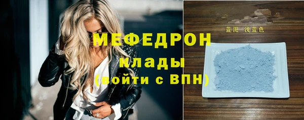 соль ск Дмитриев