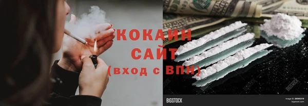 соль ск Дмитриев