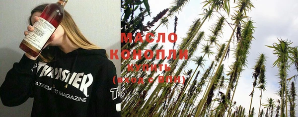соль ск Дмитриев