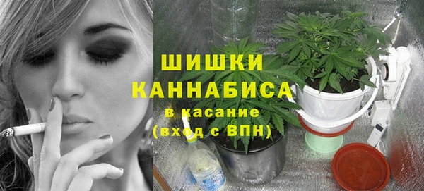 a pvp Гусь-Хрустальный