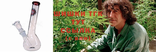 ПСИЛОЦИБИНОВЫЕ ГРИБЫ Дмитров