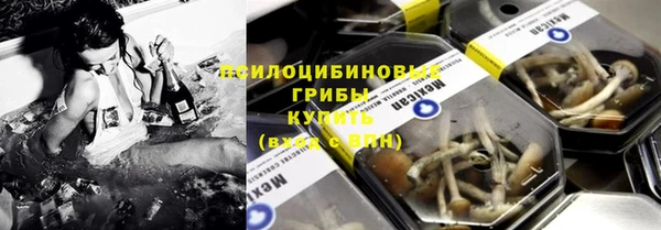 ПСИЛОЦИБИНОВЫЕ ГРИБЫ Дмитров
