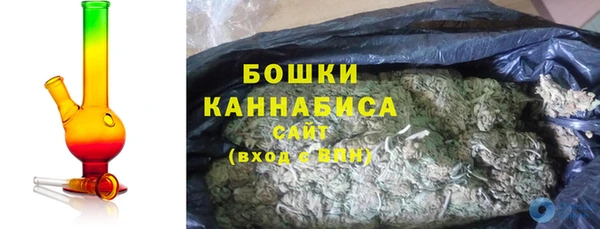 ПСИЛОЦИБИНОВЫЕ ГРИБЫ Дмитров