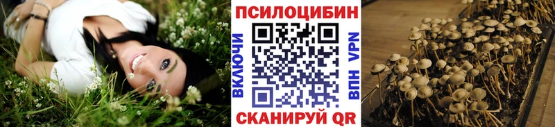 Псилоцибиновые грибы ЛСД  нарко площадка телеграм  Далматово 